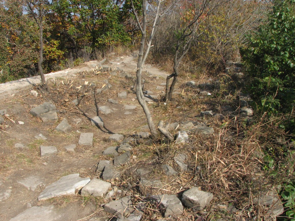 37_Mutianyu _Real_Great_Wall_China Trees growing in the middle of the Great Wall of China