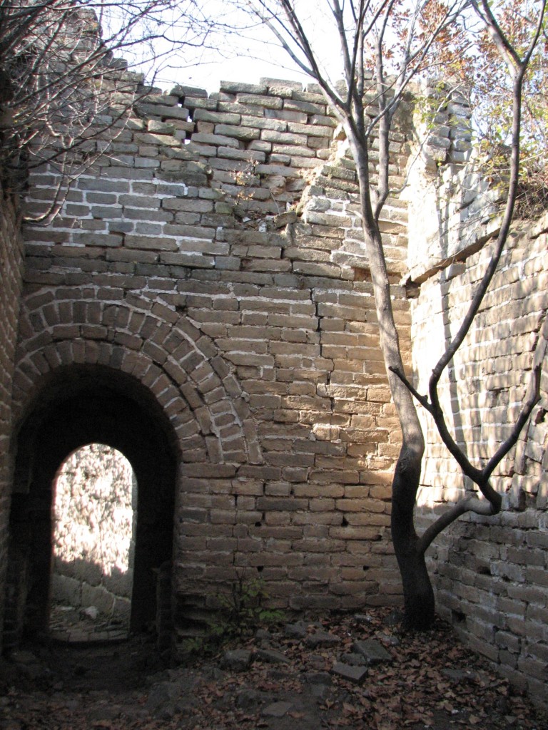 42_Mutianyu _Real_Great_Wall_China Trees growing in towers of the Great Wall