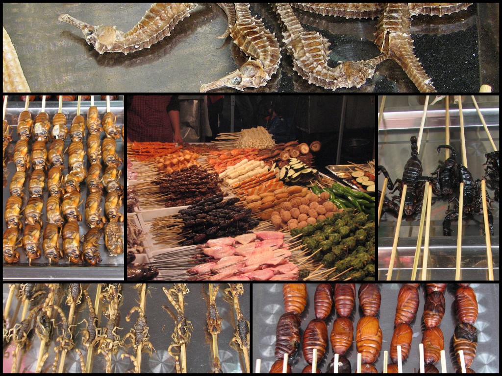 Food in China insects All sorts of cooked insects in China