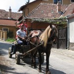 Transylvania 