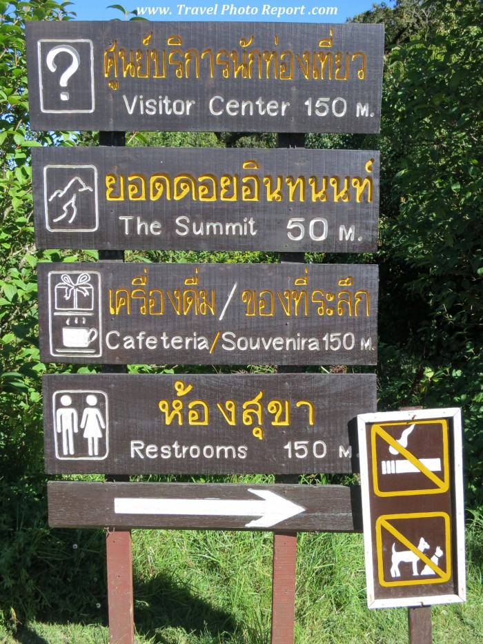 No dogs on the summit
