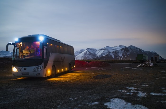 Night buses: see more, spend less